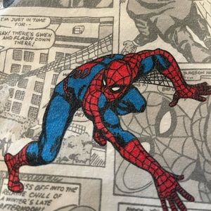 Queen Pottery Barn Kids Spider Man Sheets